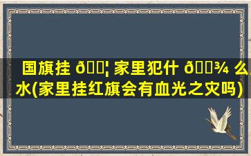 国旗挂 🐦 家里犯什 🌾 么风水(家里挂红旗会有血光之灾吗)